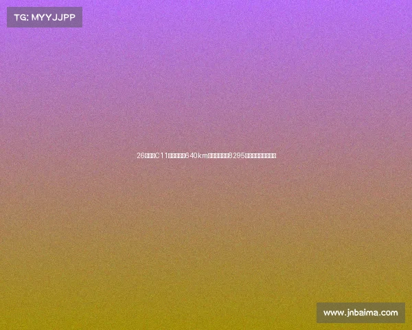 26款零跑C11大揭秘：配640km、激光雷达、8295芯片，值不值得买？